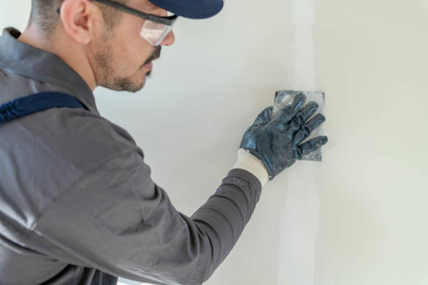 Reliable Ennis, TX Mold Removal Solutions