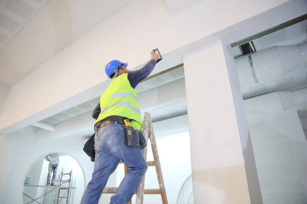 Best Black Mold Removal  in Ennis, TX